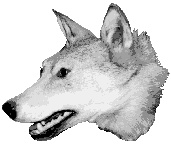 Schützenverein Lichtenhorst e.V.